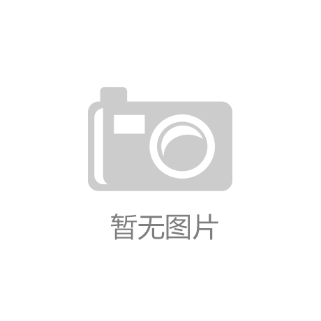 分公司